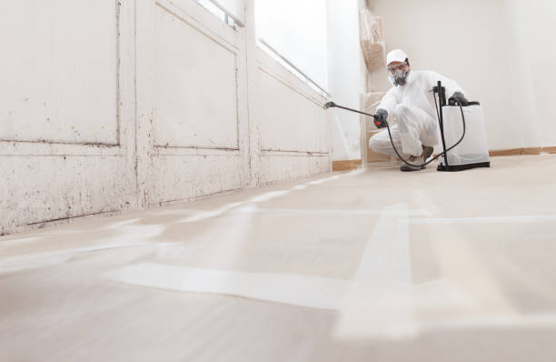 24/7 Emergency Commercial Mold Remediation experts in Juliustown, NJ
